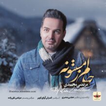 دانلود آهنگ جدید مرتضی محمدی به نام حالم زمستونه